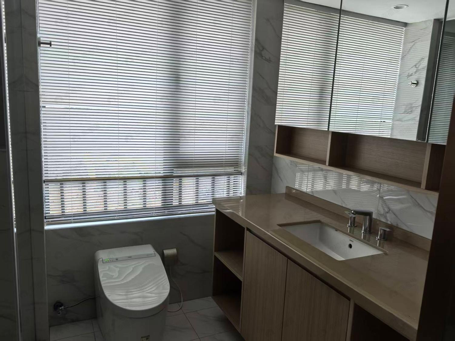 整租·泰禾桂山院子