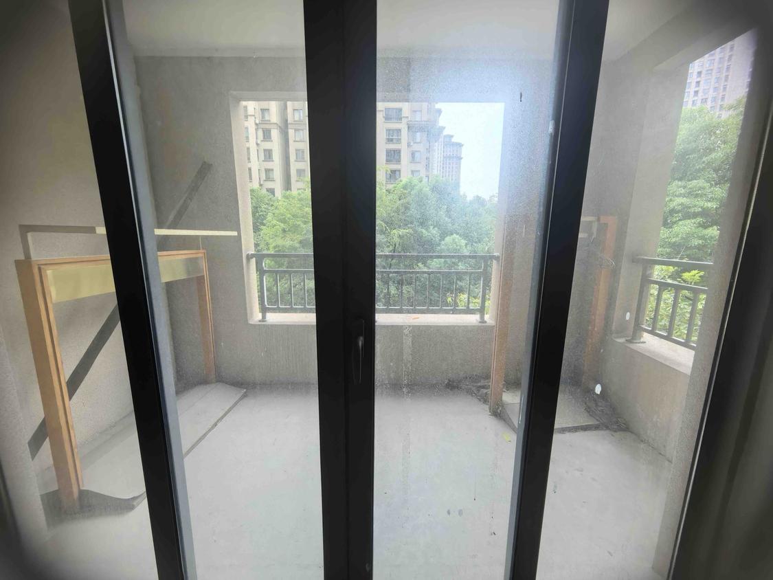 整租·伟星金域华府