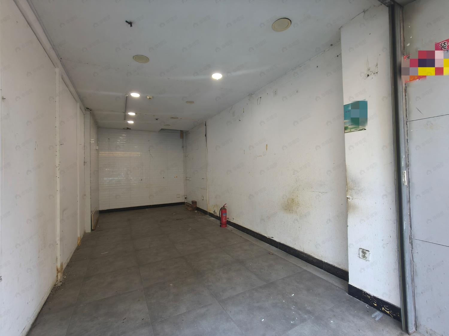 整租·财富主场