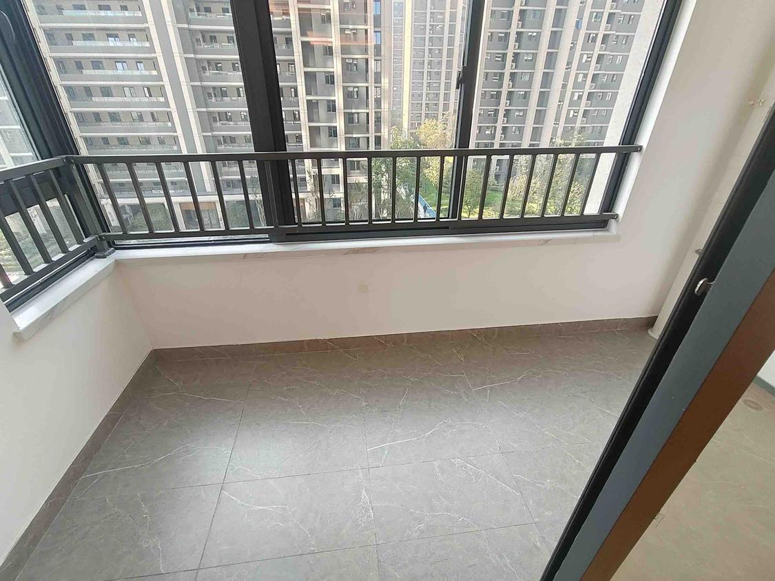 整租·伟星印江澜