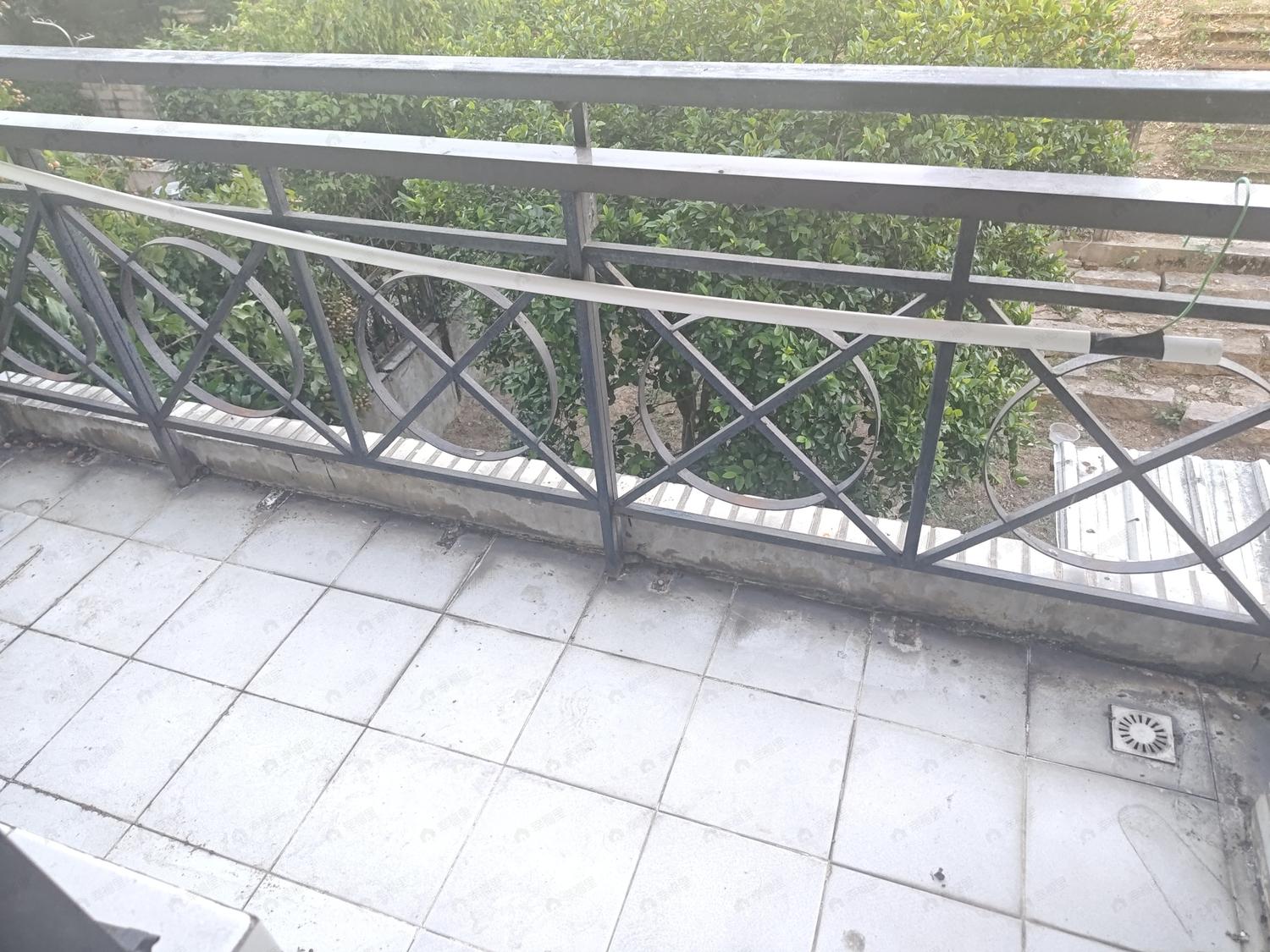 整租·金桥花园一期别墅