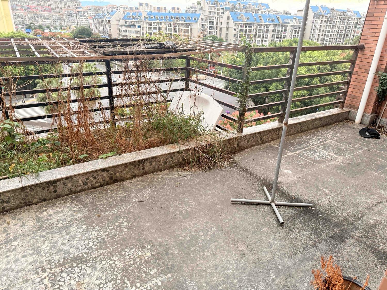 整租·金山桔园一期吉苑