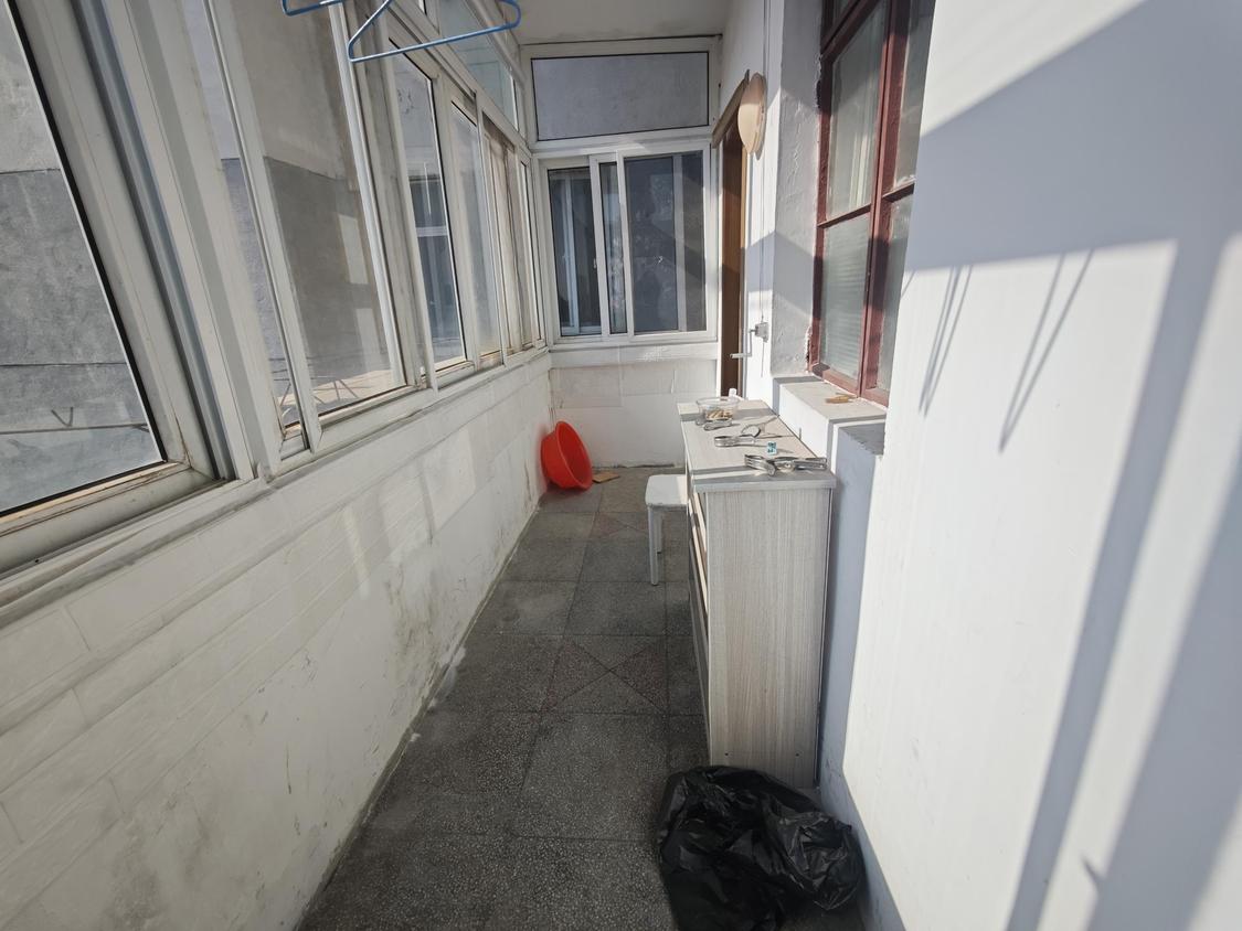 整租·红梅新村