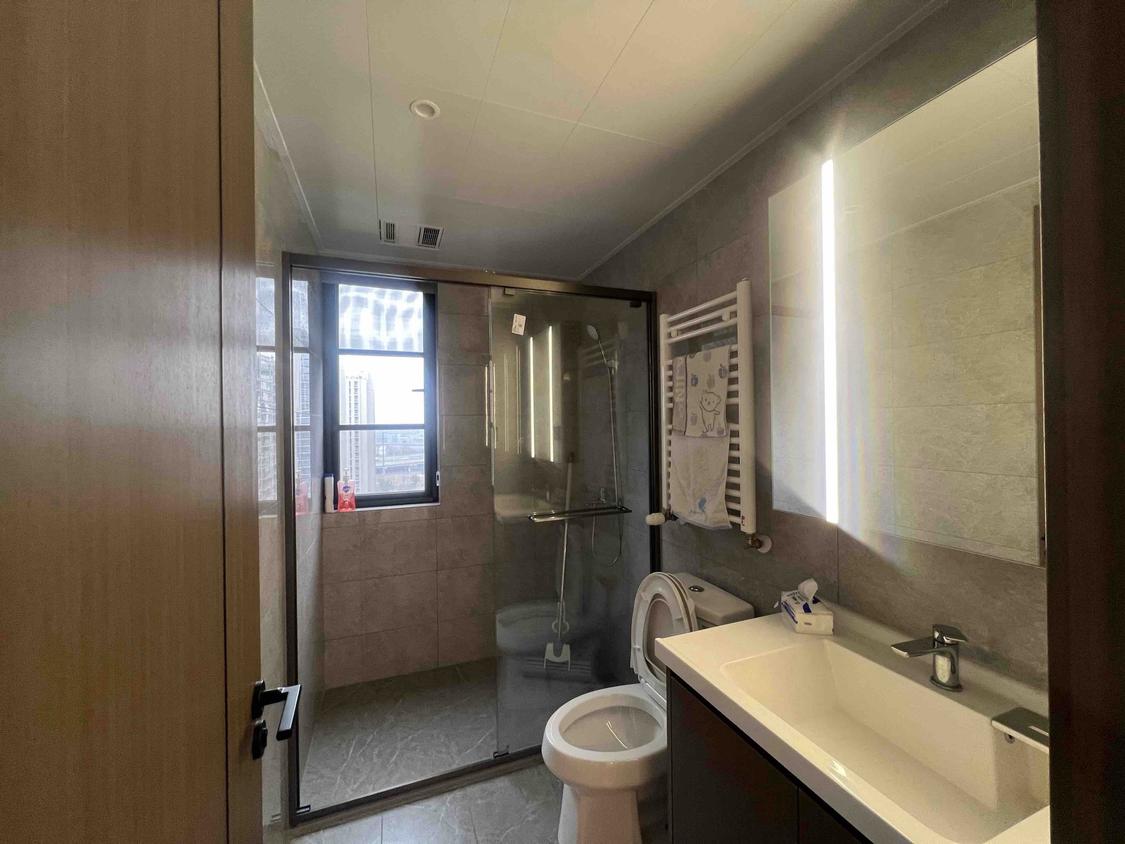 整租·伟星印江澜