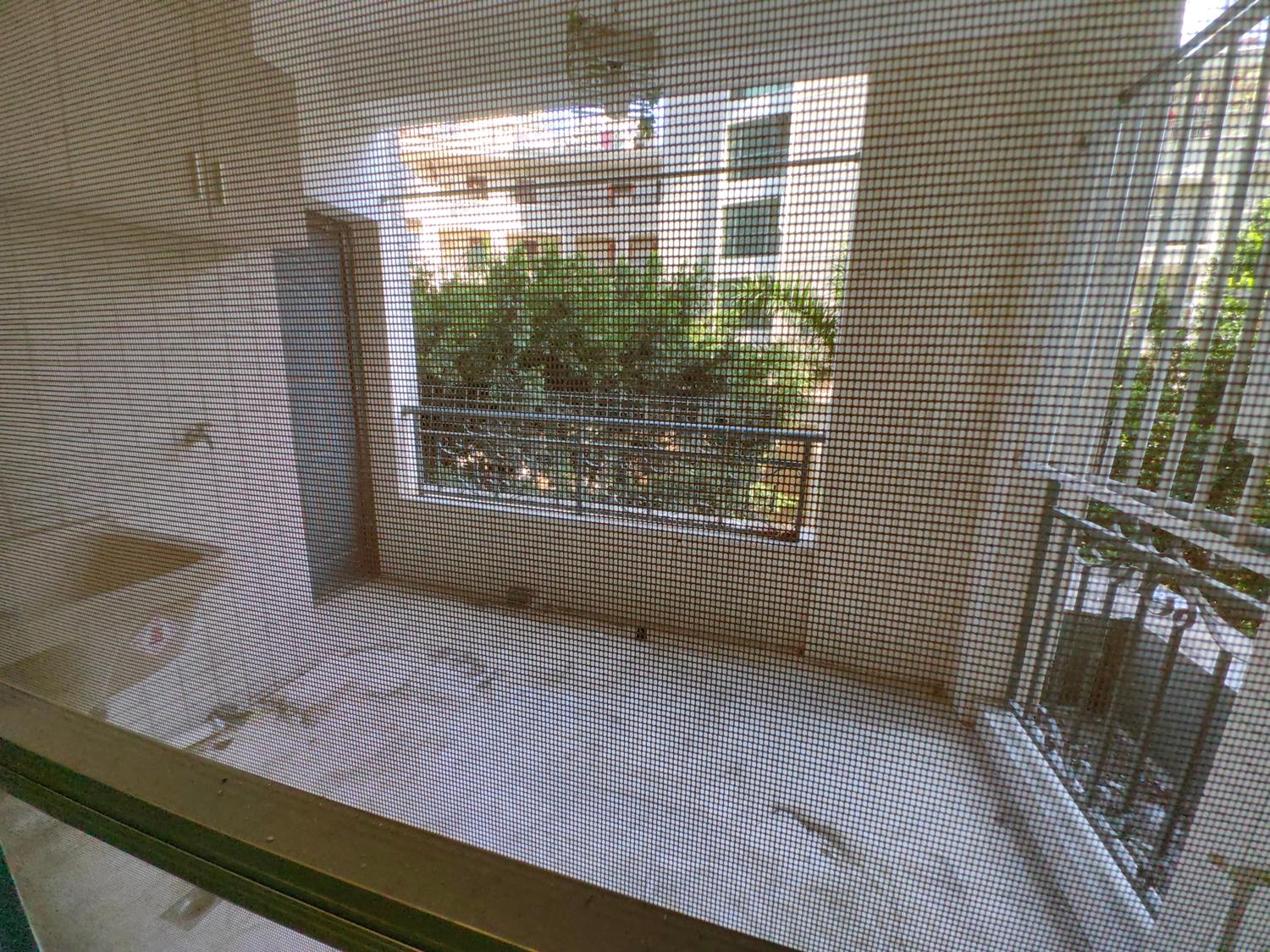 整租·财富主场