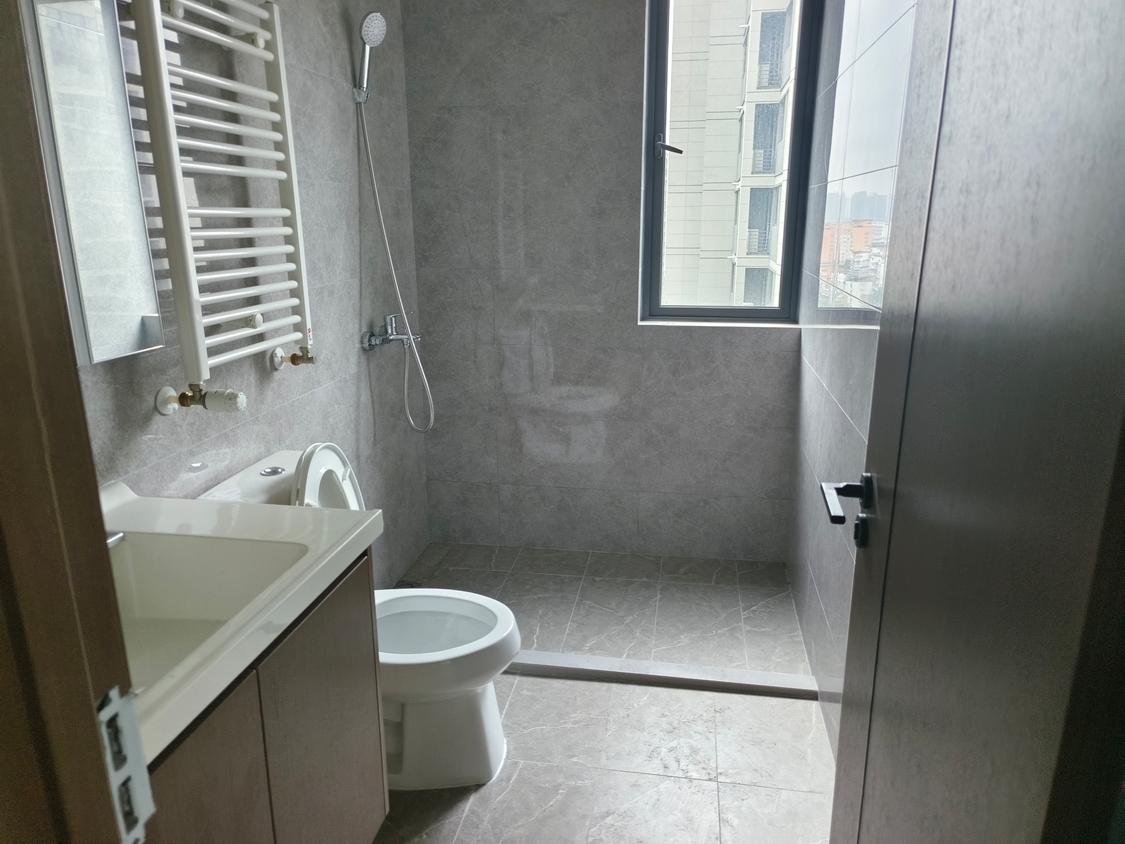 整租·伟星印江澜