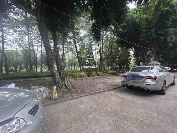 金山金祥路整租 金山碧水三期夏沁苑1室1厅/82平/低楼层