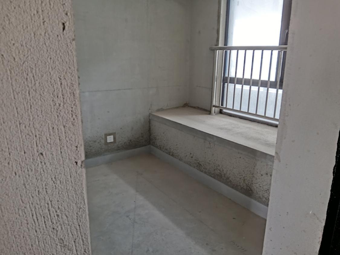 整租·伟星天境