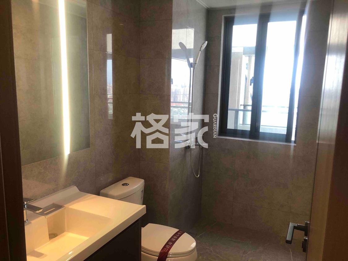 整租·伟星印江澜