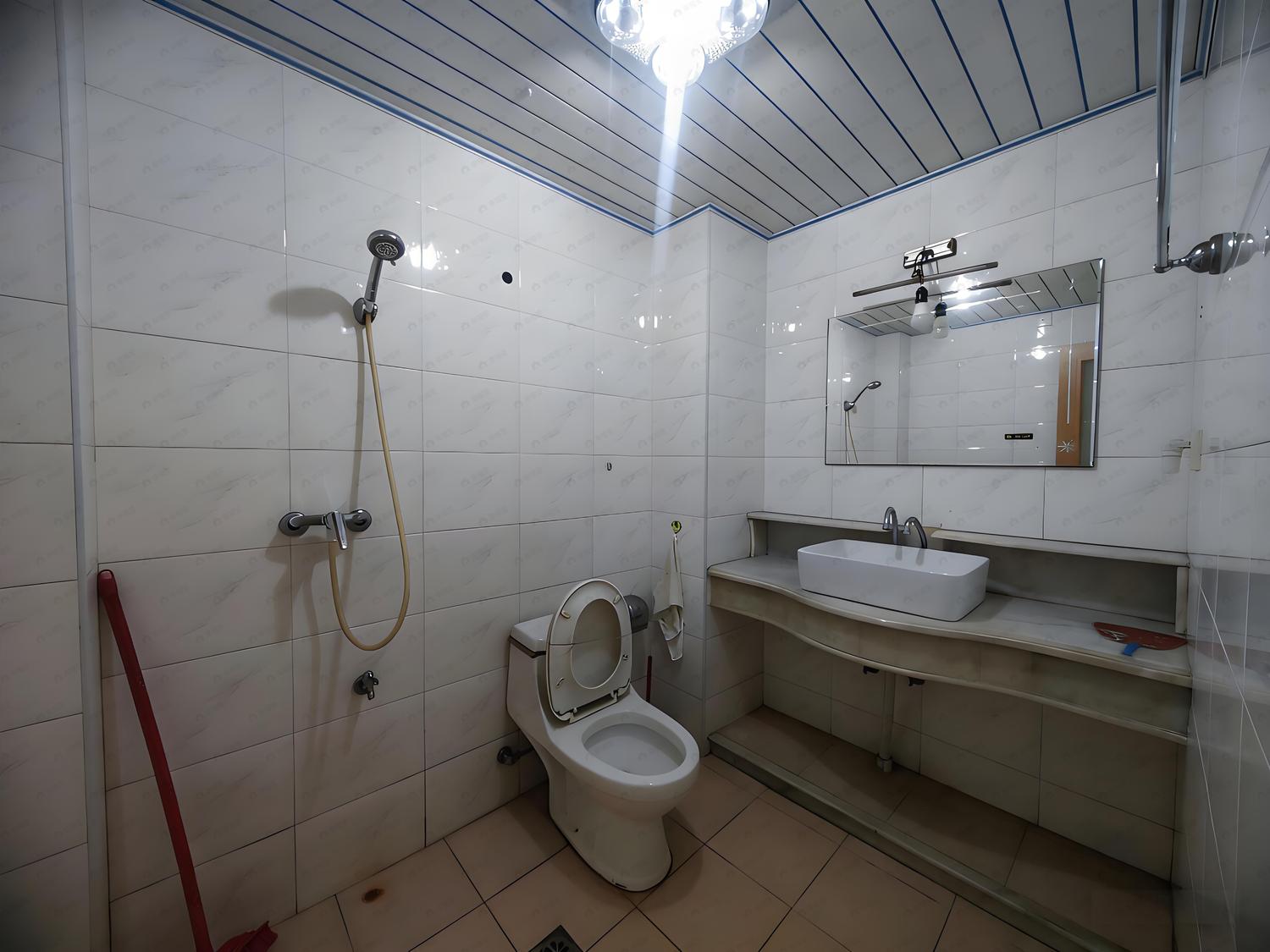 整租·大梦山小区