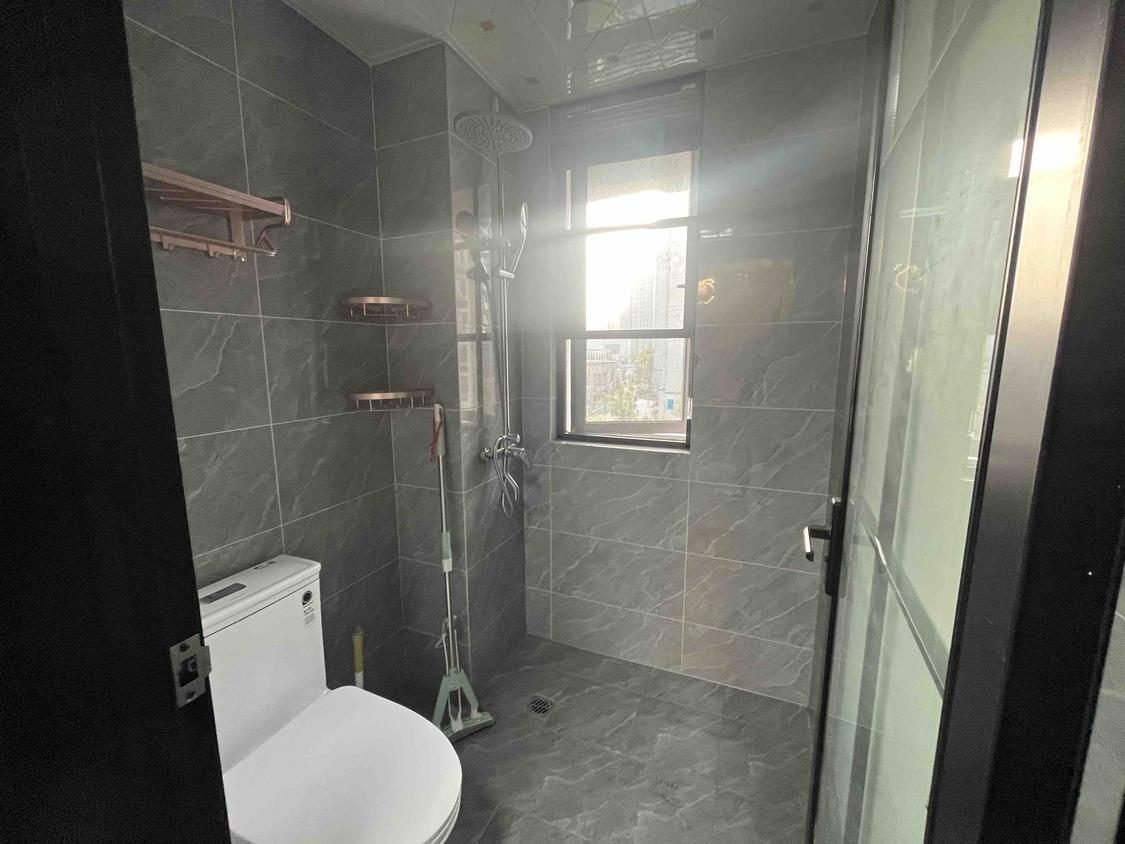 整租·伟星印江澜