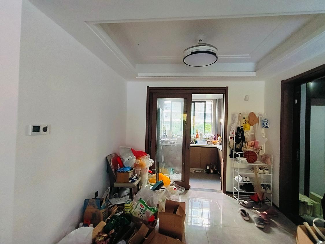 整租·伟星印江澜