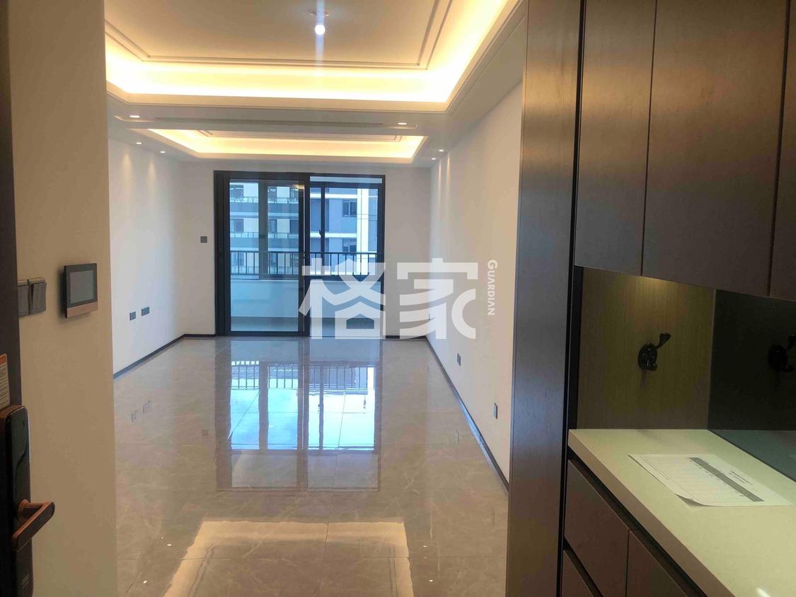 整租·伟星印江澜