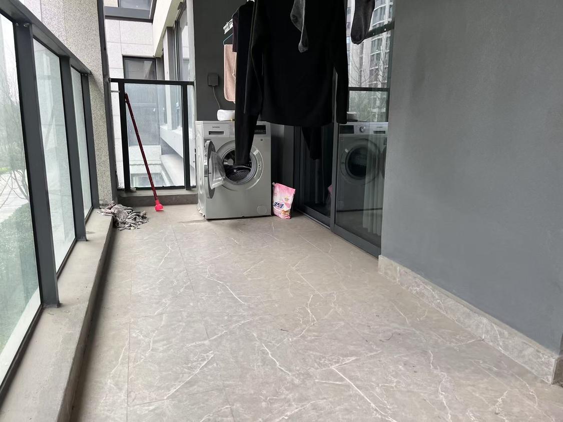 整租·伟星印江澜