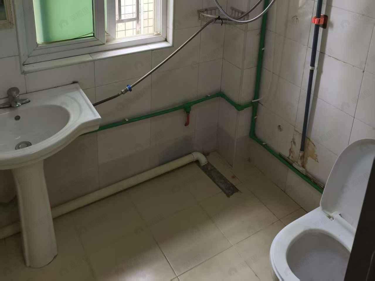 合租·金山碧水一期醉棠苑