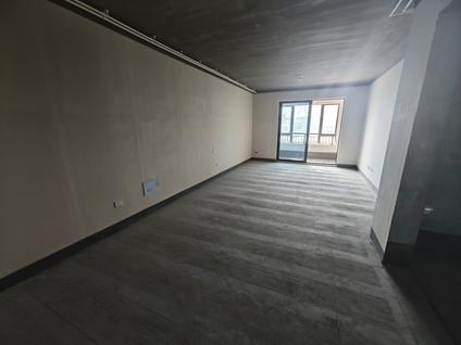 镜湖芜湖站整租 晶宫江南府3室2厅/111平/中楼层