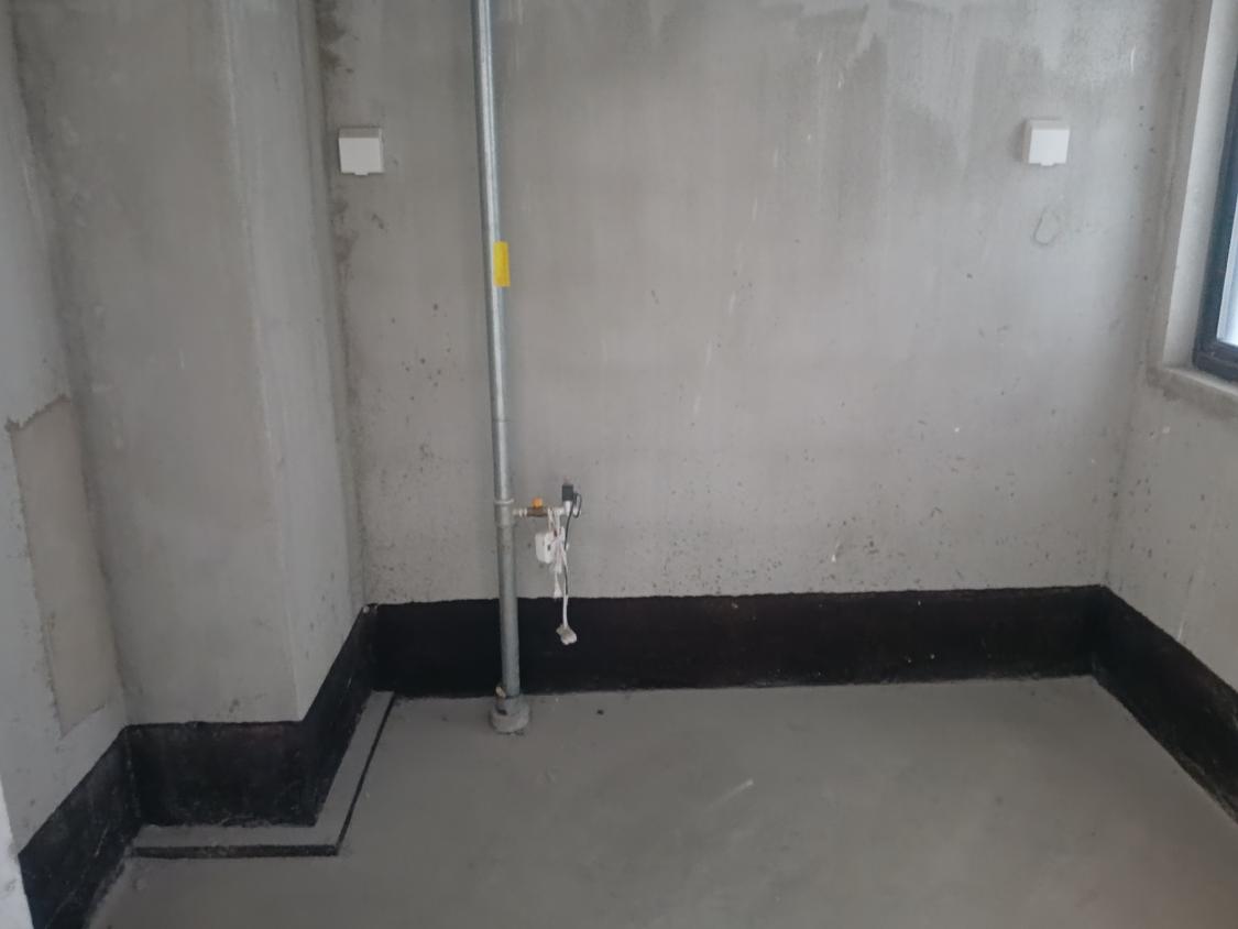 整租·伟星天境