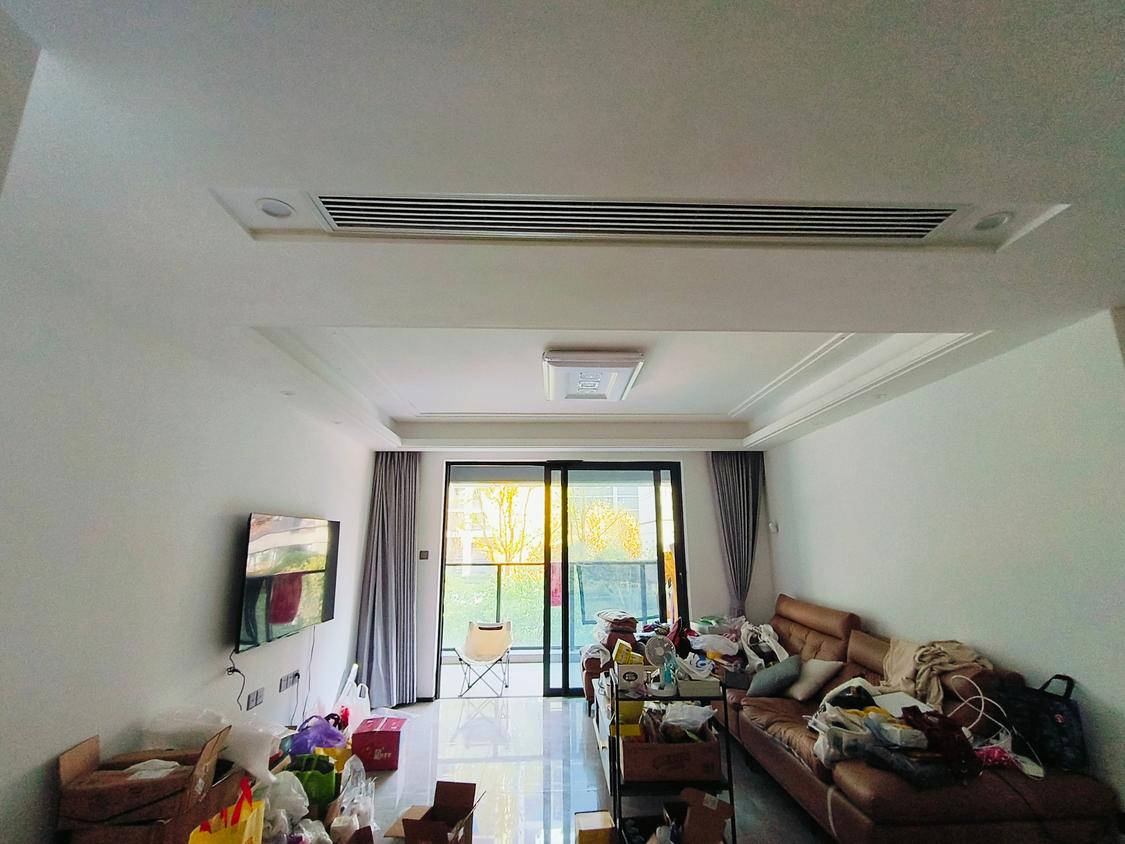 整租·伟星印江澜